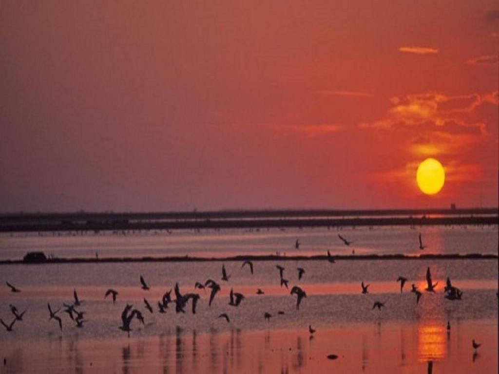 Eden Village Margherita Di Savoia Dış mekan fotoğraf
